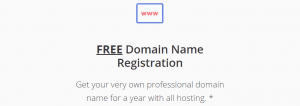 Los nombres de dominio de Justhost son variados y se puede escoger el primero gratis.