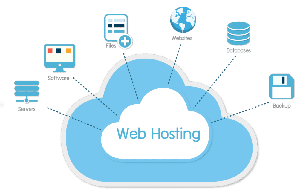professional web hosting